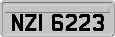 NZI6223