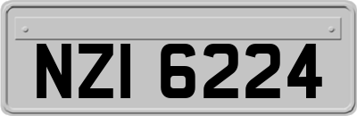 NZI6224