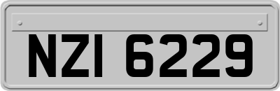 NZI6229