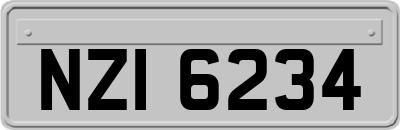 NZI6234