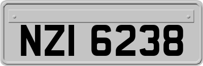 NZI6238