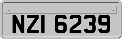 NZI6239