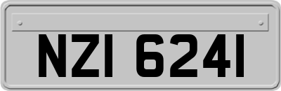 NZI6241
