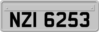 NZI6253