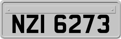 NZI6273