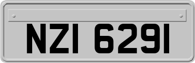 NZI6291