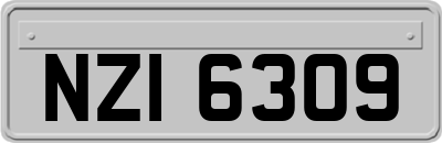 NZI6309