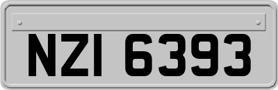 NZI6393