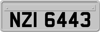 NZI6443
