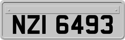 NZI6493