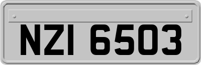 NZI6503