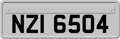 NZI6504