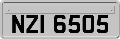 NZI6505