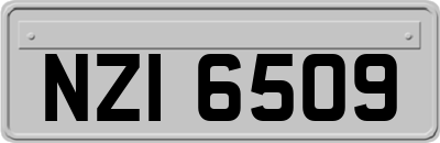 NZI6509