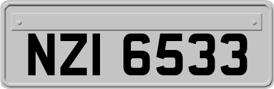 NZI6533