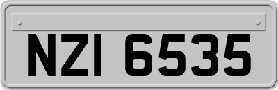 NZI6535