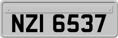 NZI6537