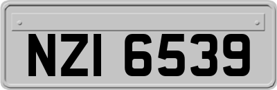 NZI6539