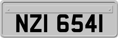NZI6541