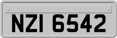 NZI6542