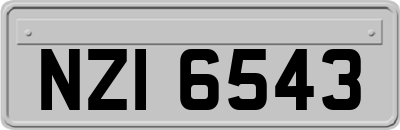 NZI6543
