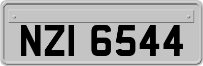 NZI6544