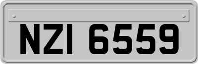 NZI6559