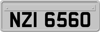 NZI6560