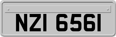 NZI6561