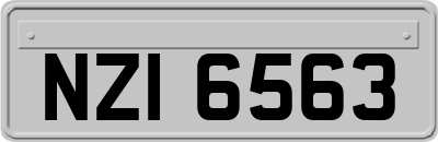 NZI6563