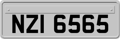 NZI6565