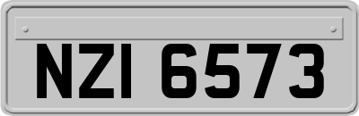 NZI6573