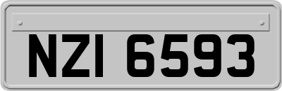NZI6593