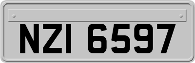 NZI6597