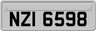 NZI6598