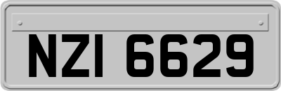 NZI6629