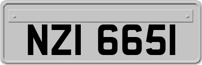 NZI6651