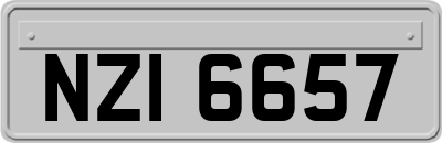NZI6657