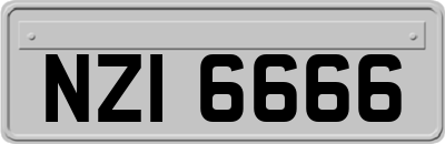 NZI6666