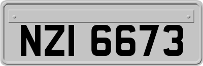 NZI6673