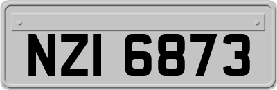 NZI6873