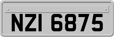 NZI6875