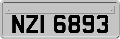 NZI6893