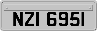 NZI6951