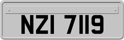NZI7119