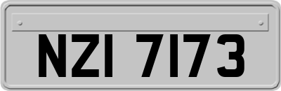 NZI7173
