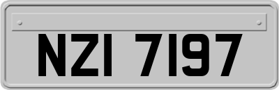 NZI7197