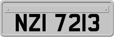 NZI7213