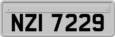 NZI7229