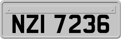 NZI7236